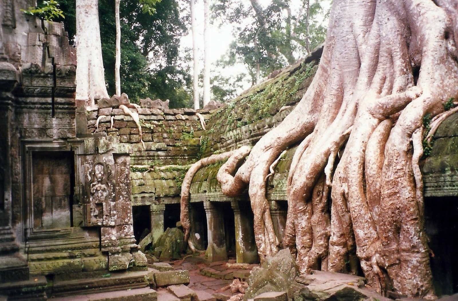 Camboja