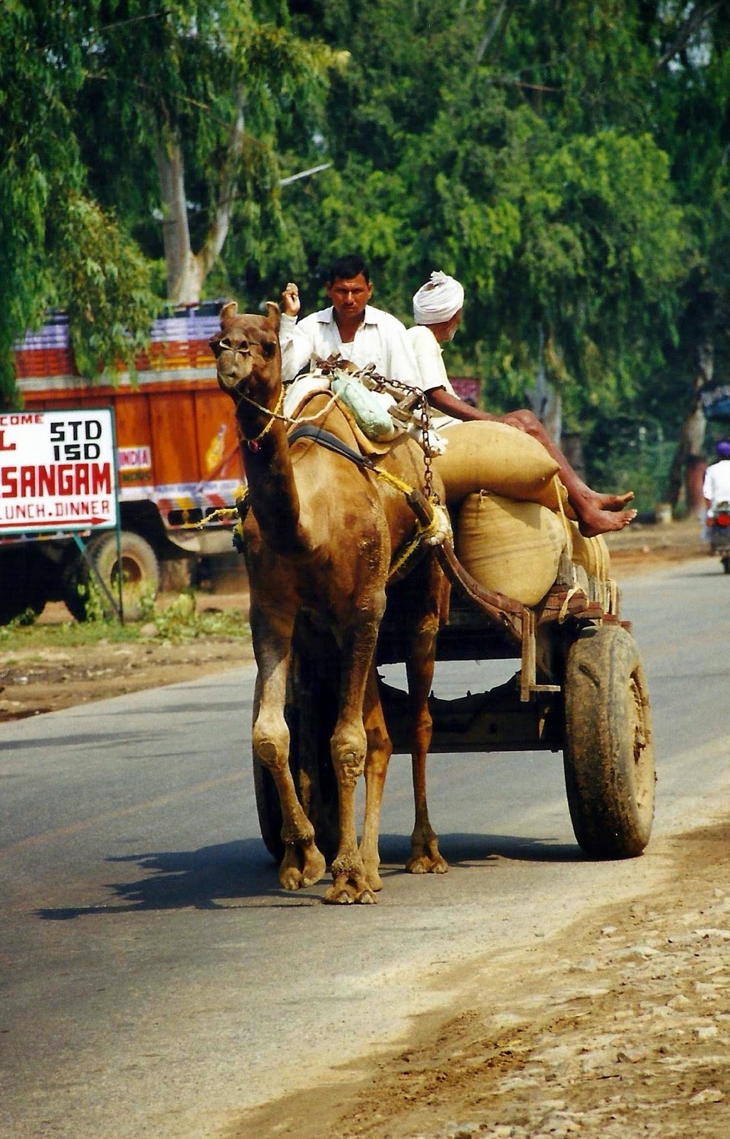 Índia · Rajastão