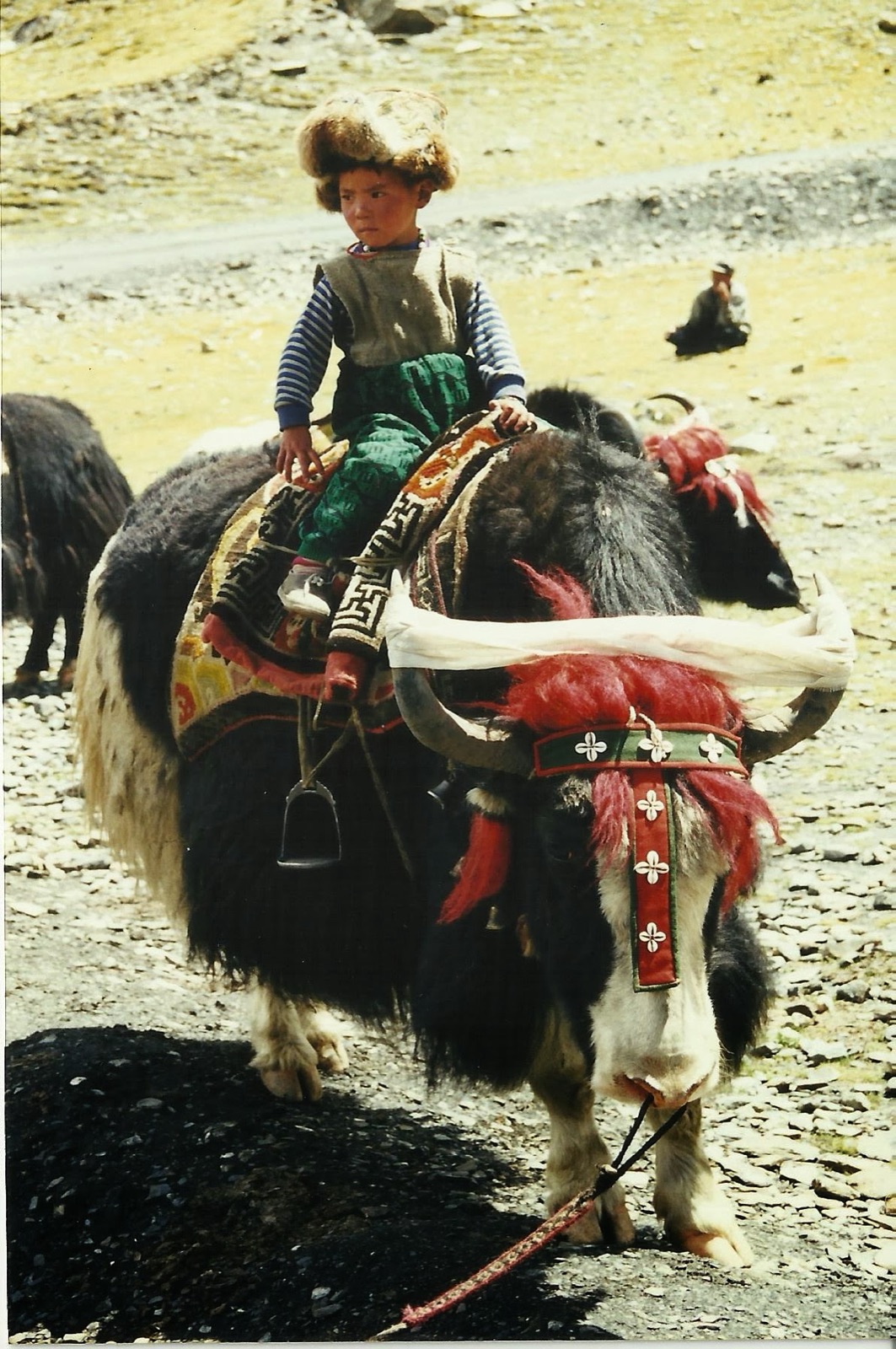 Tibet